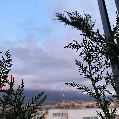 Medellin Apartman Tirana